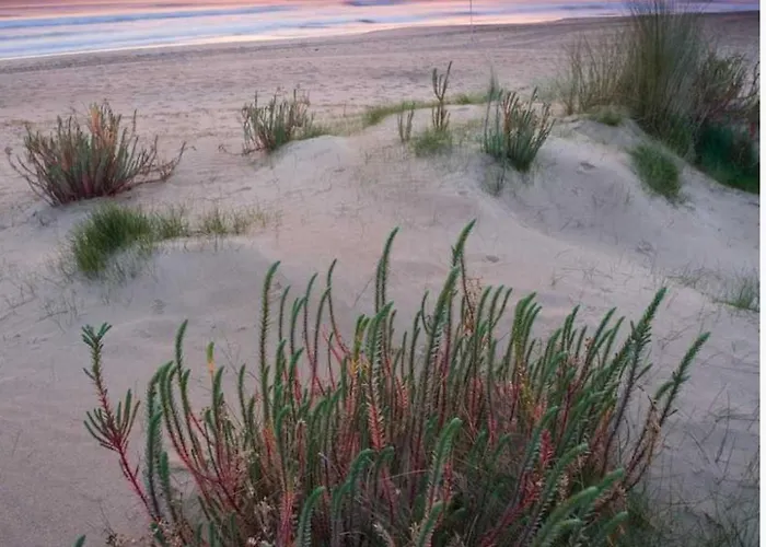 Con Terraza Апартаменты Ларедо