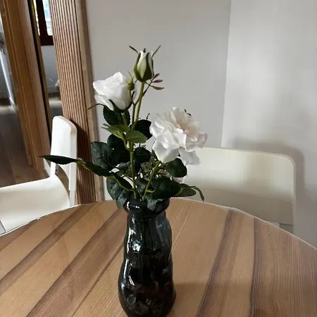 Appartement Con Terraza Laredo