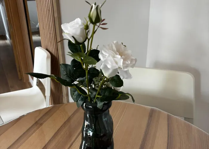 Appartement Con Terraza Laredo