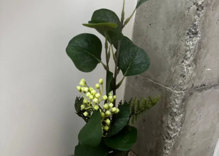 Con Terraza * Laredo